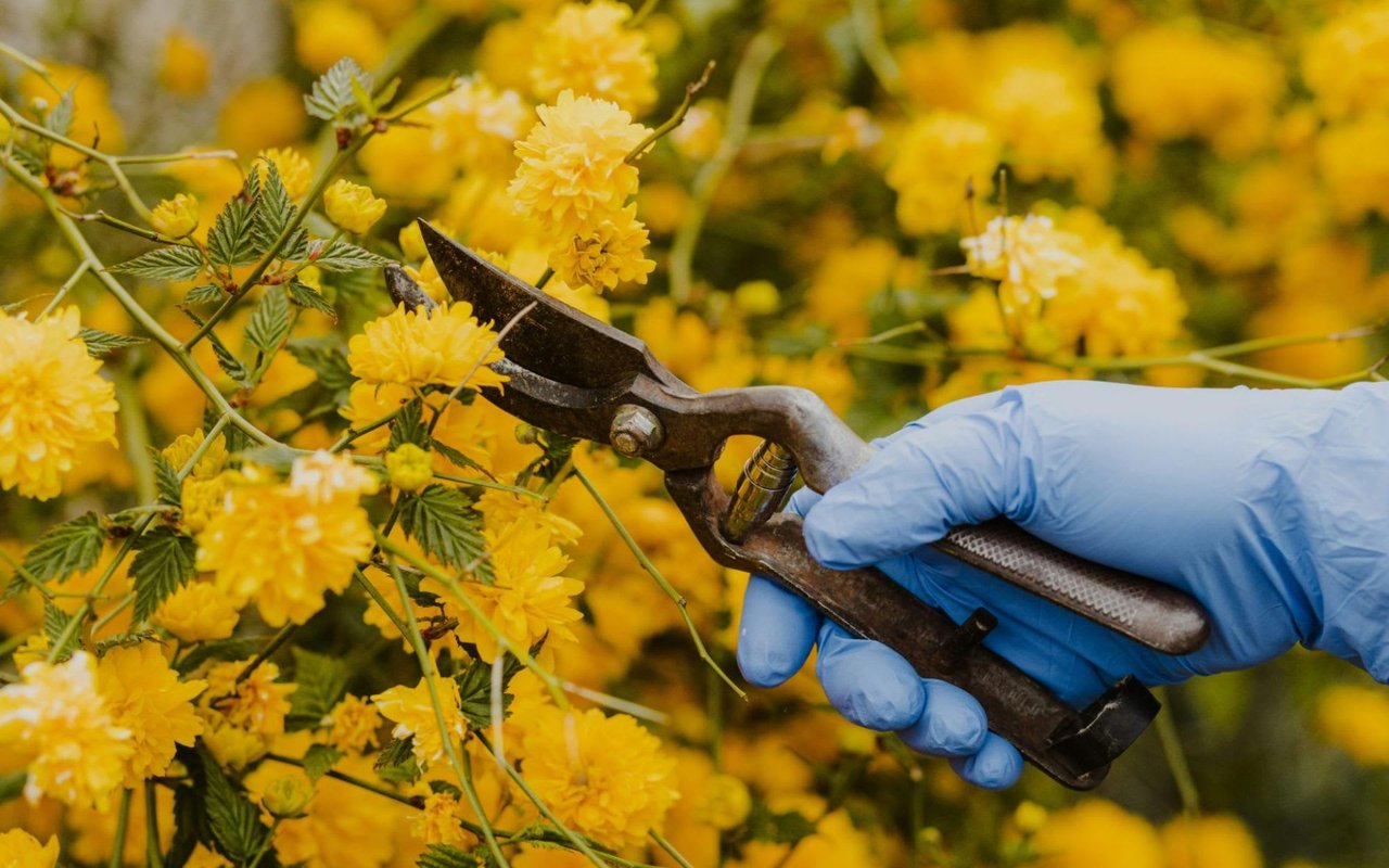 How to Boost Your Home's Curb Appeal in One Weekend