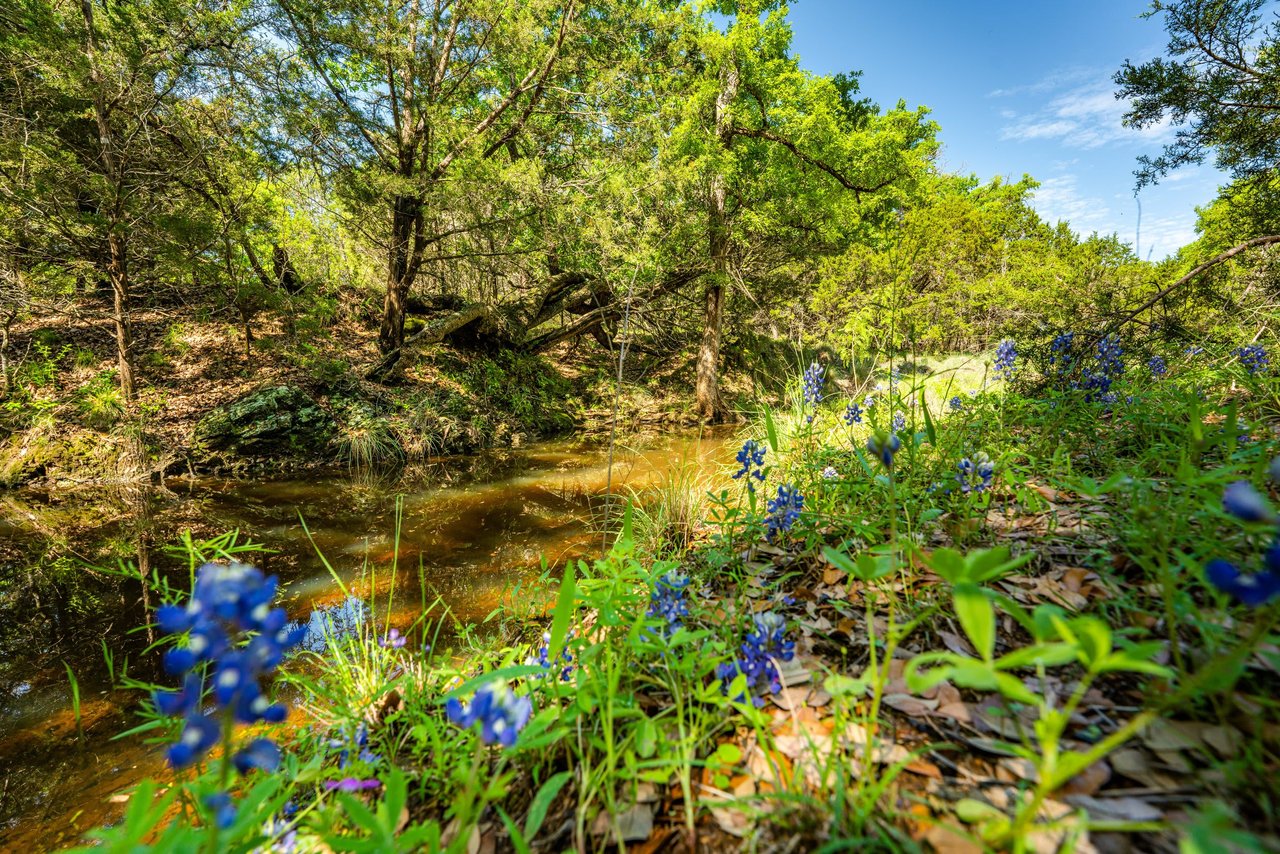 Cuatro Colinas Ranch