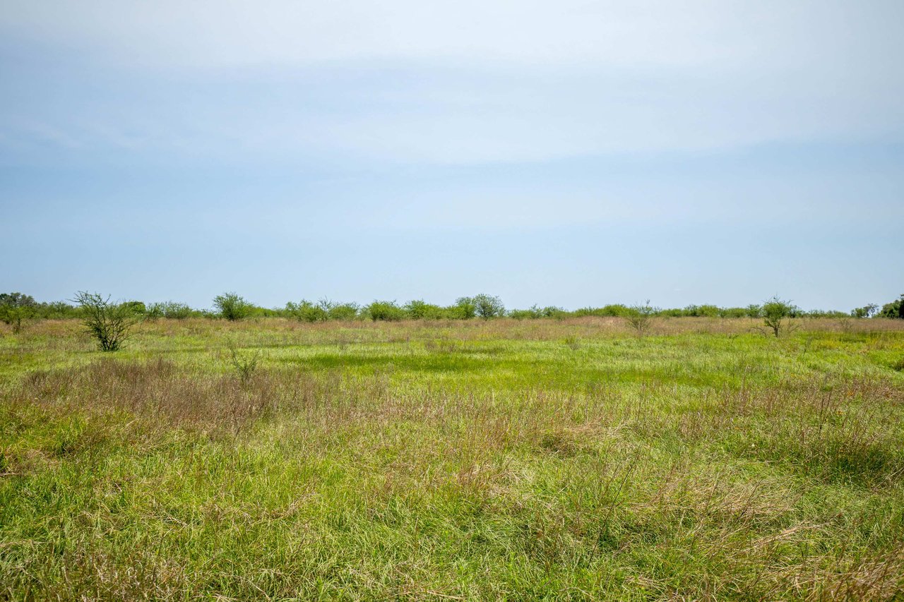 Green DeWitt Rd | 40.82± Acres | DeWitt County