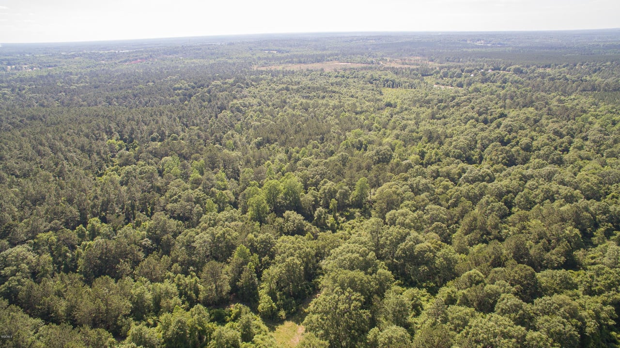 32331 Carey Smith Rd