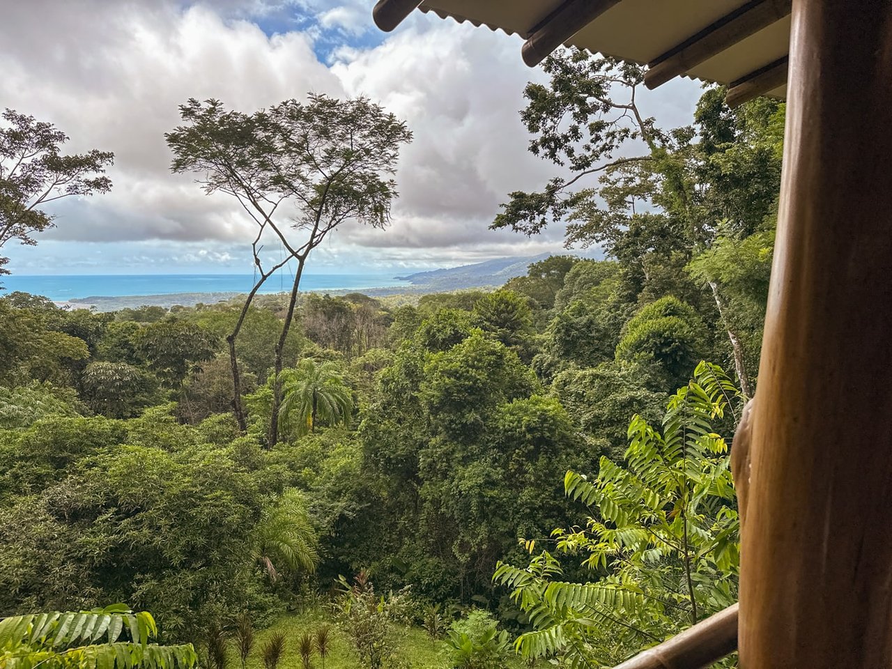 Casa Selva Sustainable Living 