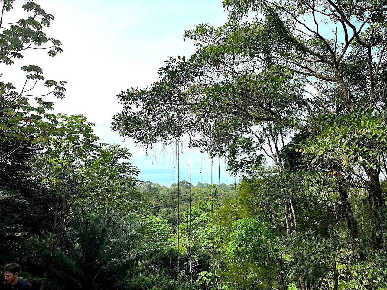 Luxury Development Land, Uvita, Puntarenas
