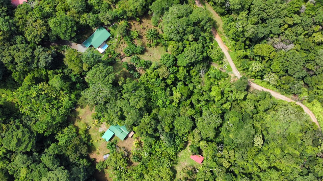 Secret Paradise Property in Altos de la Colonia