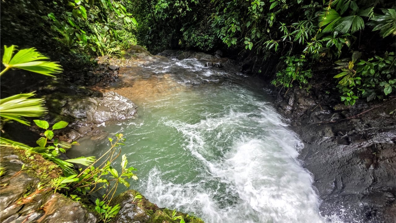 Rainforest Waterfall Acreage Estate, Dominical, Puntarenas