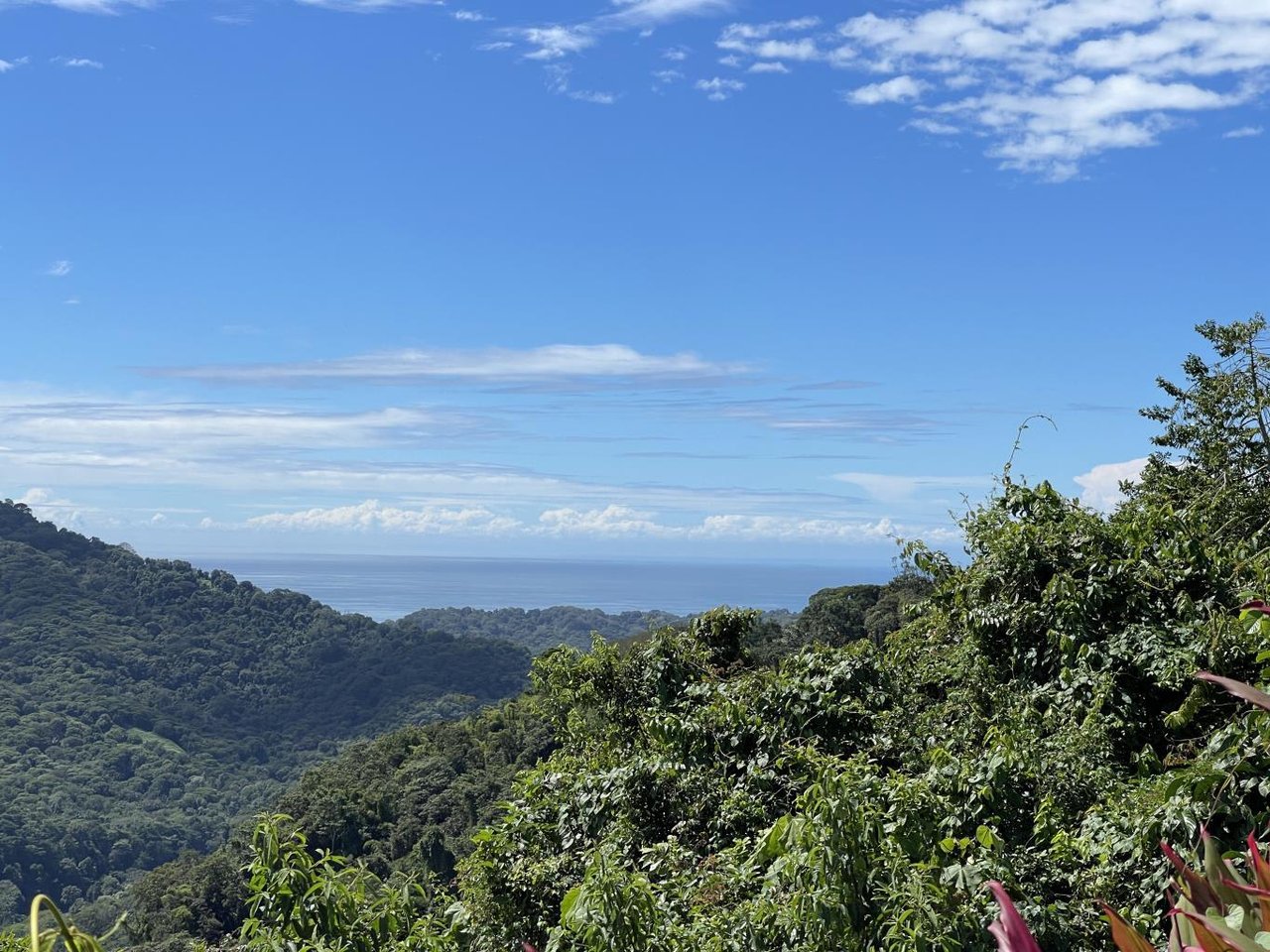 5.2 Acres, 2 Bedroom Home With 60 Ft Infinity Lap Pool, 1 Bedroom Guest House, Ocean View!