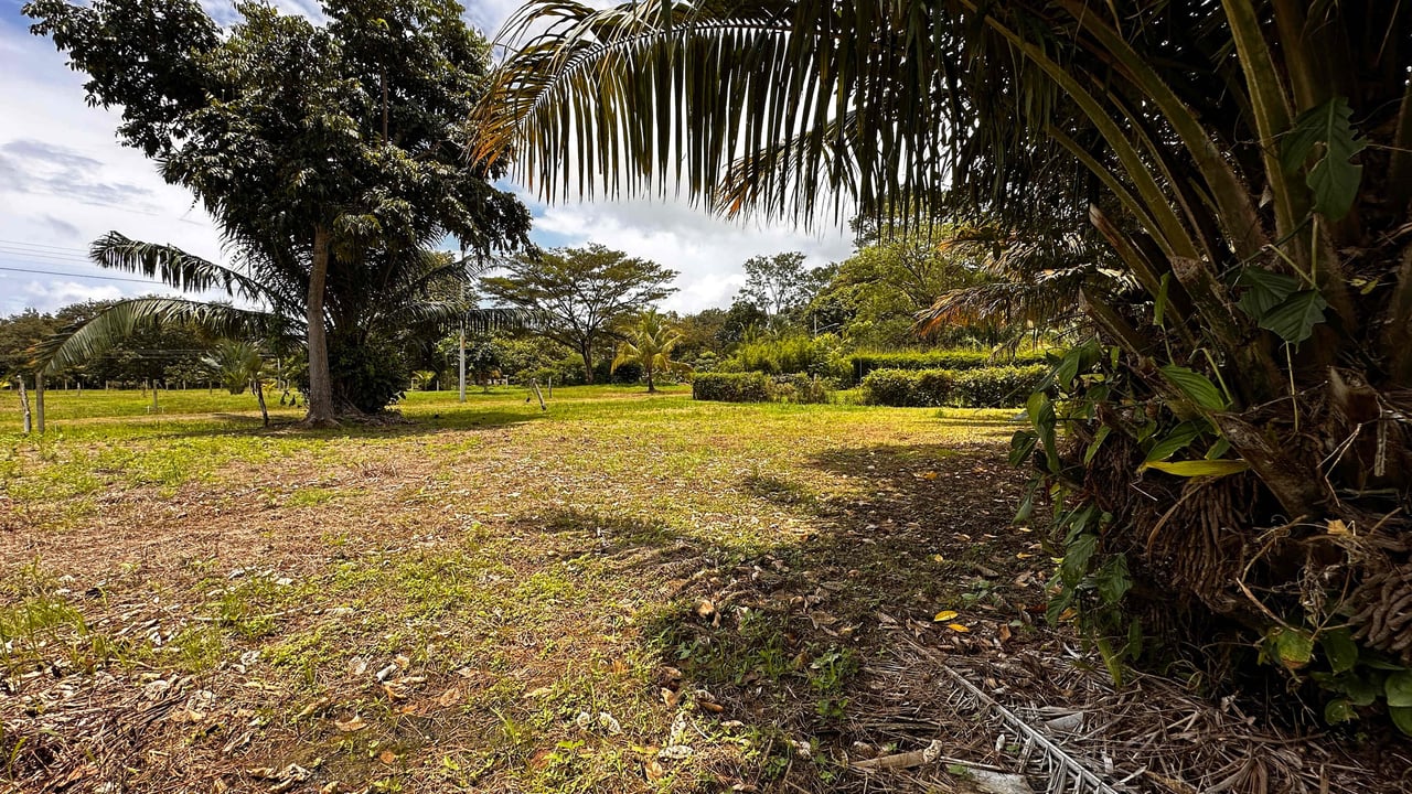 Beach Area Lot in Quiet Corner on Uvita Bahia