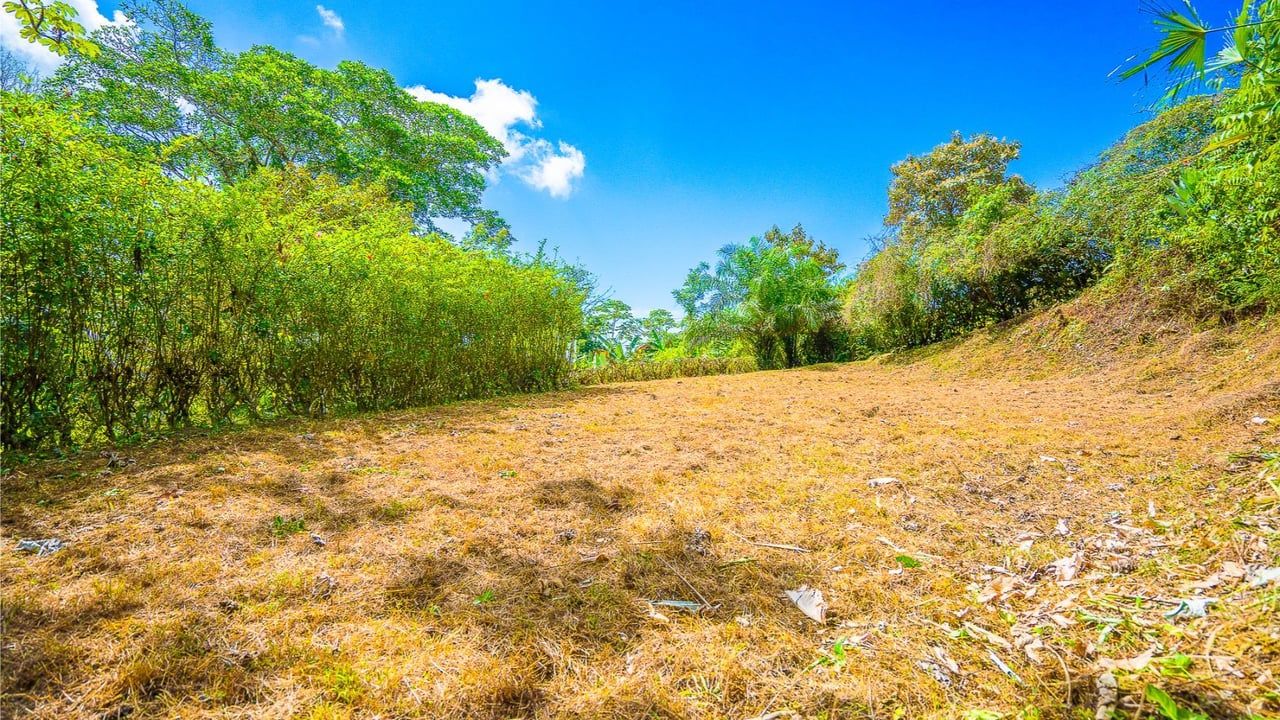 Forest View Build Ready Lot, Ojochal, Puntarenas