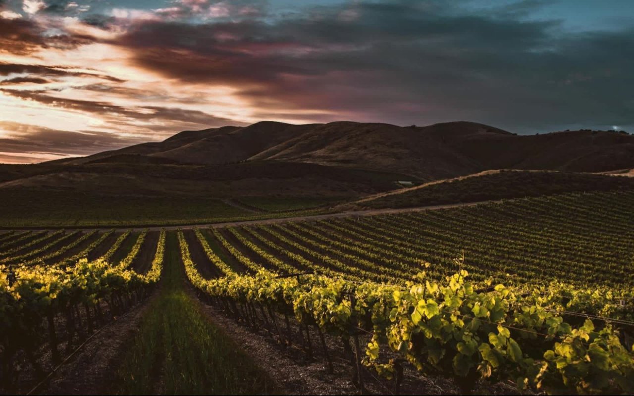 6 Best Neighborhoods to Live in Napa Valley