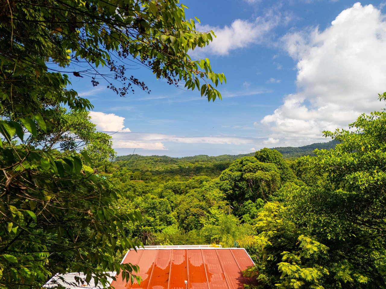 Stunning Casa Lucia, An Ocean Mountain View Gem! Finca Maranon