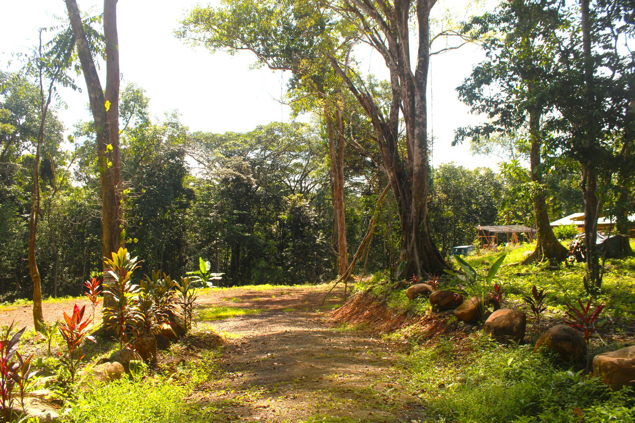 River Frontage Lot close to Uvita