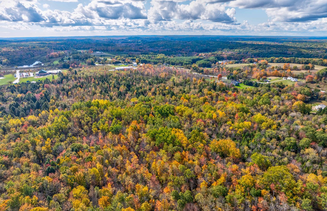 36.5 Acres in Bowdoin