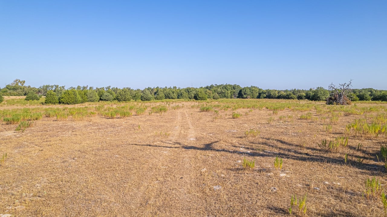 59.59 Acres in Brazos Valley region
