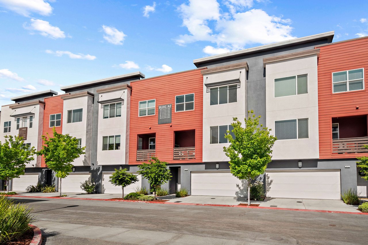 367 Ellicott LOOP