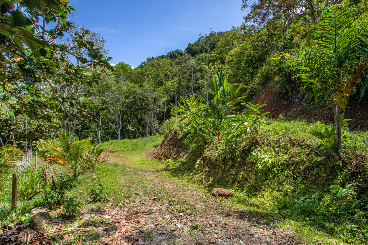 Rainforest Ridge Ocean View Ranch, Manuel Antonio, Puntarenas