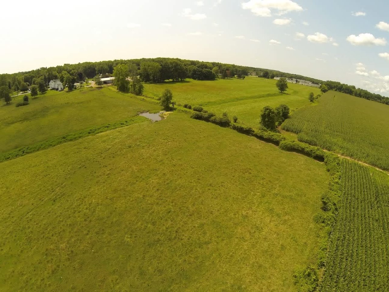 Cattle & Equine Farm