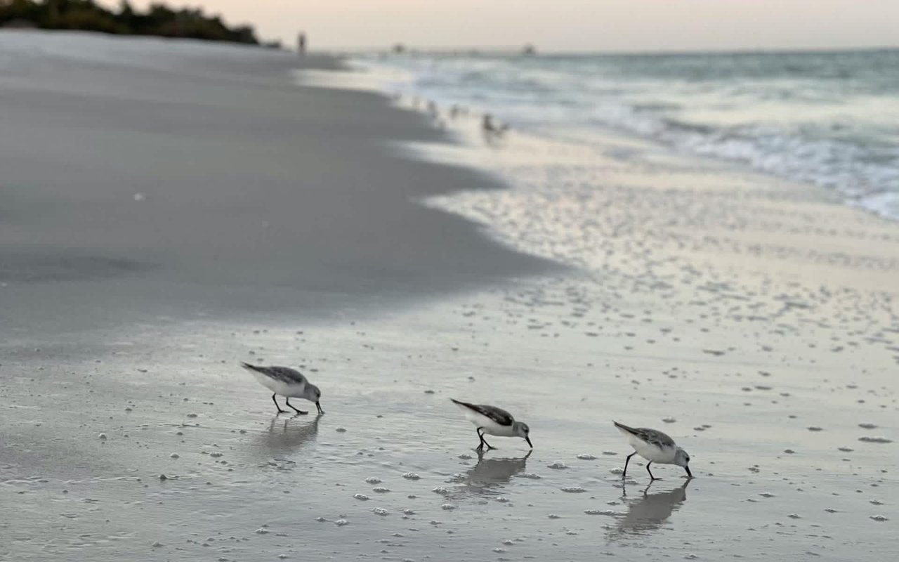 The Top Attractions in Naples, FL