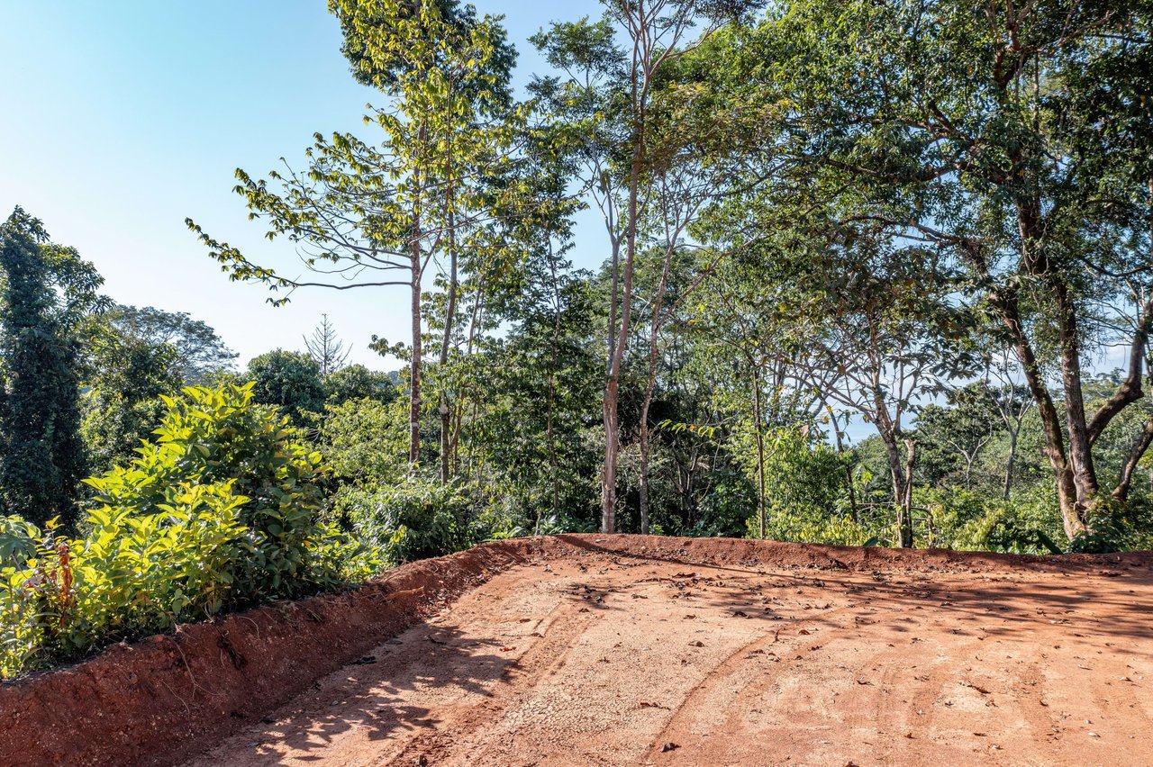 Unique Ocean View Property 7 minutes to Dominical Beach