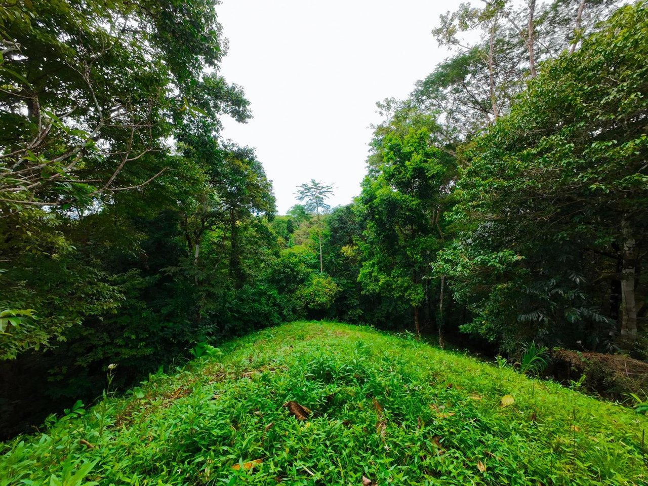 Private Ocean View Development Lot, Ojochal, Puntarenas