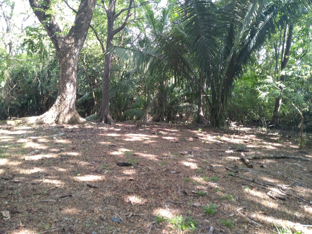 Private Secluded Beachfront Lot, Santa Teresa, Puntarenas