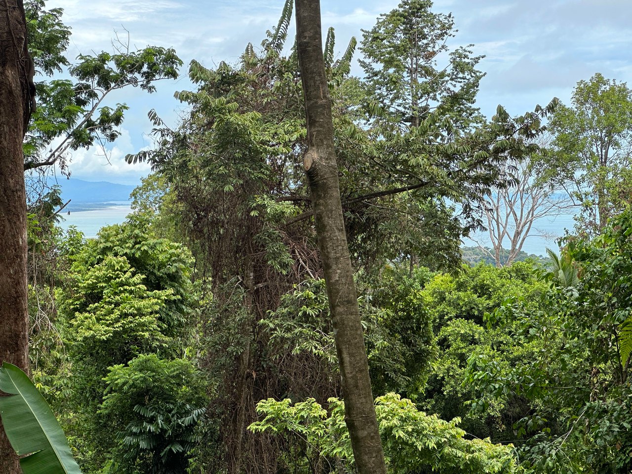 5.77 Acres With 4 Building Sites. Ocean Views, Rivers And Rainforest Abound In Cinco Ventanas! Ojochal 
