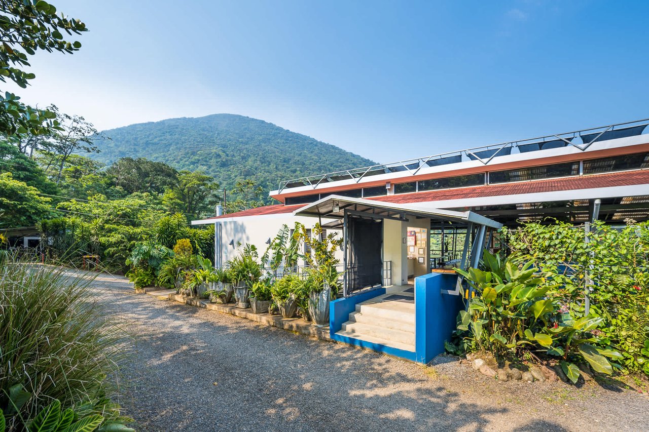 Celeste Mountain Lodge | Mountain Hotel/Resort/Hostel For Sale!