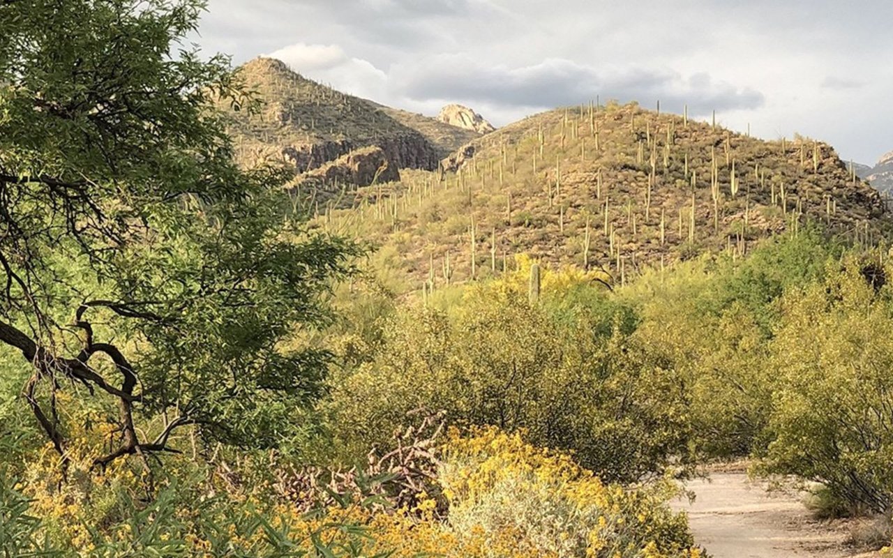 8 Amazing Places to Go Hiking in Phoenix