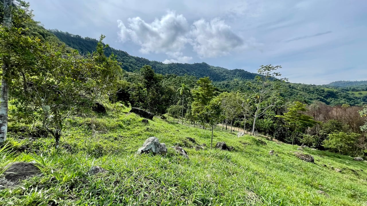 Stunning Ocean View Farm in San Luis de Morete, Over 23 Acres