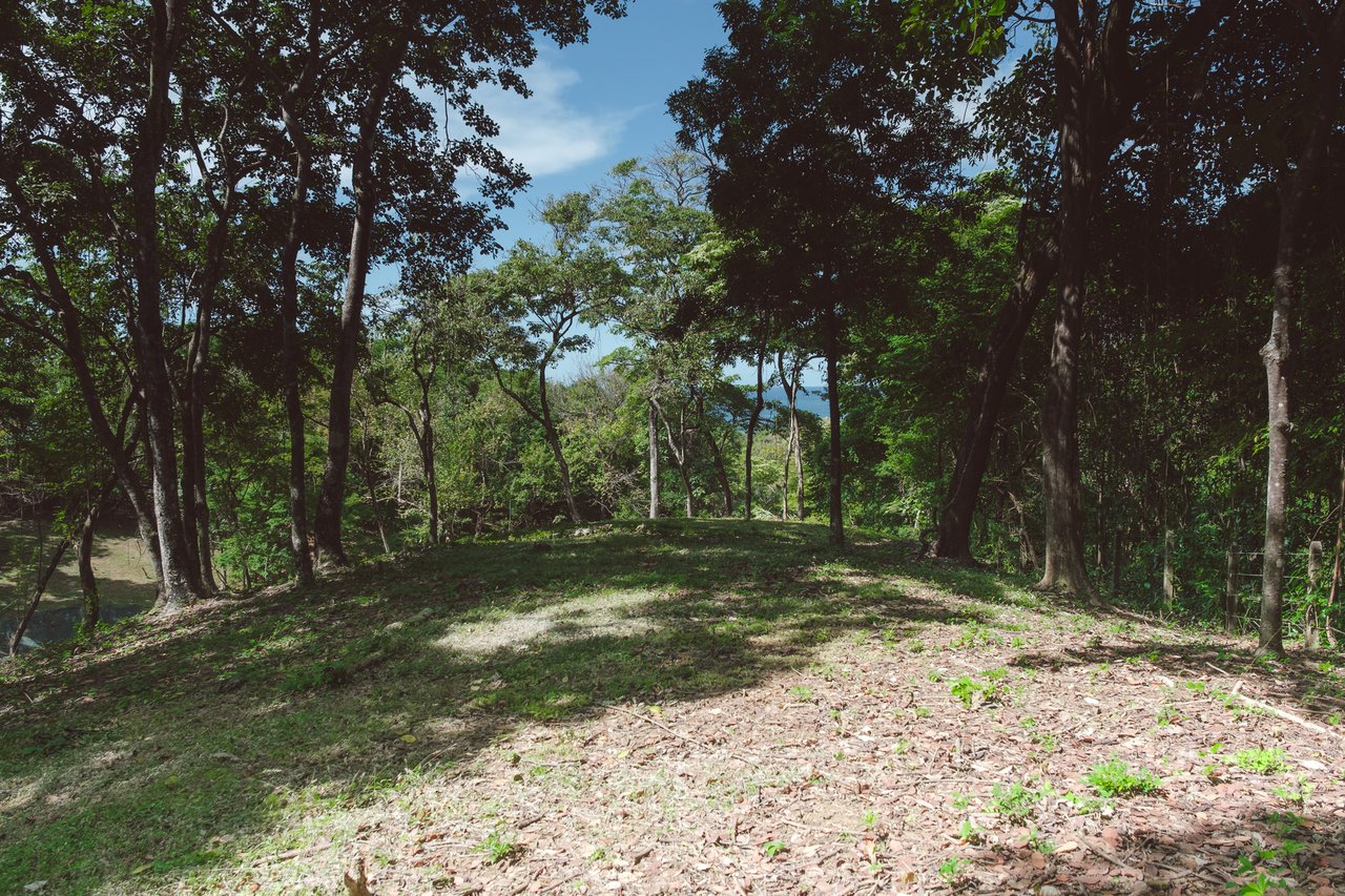 Premier Ocean View Homesite, Nosara, Guanacaste