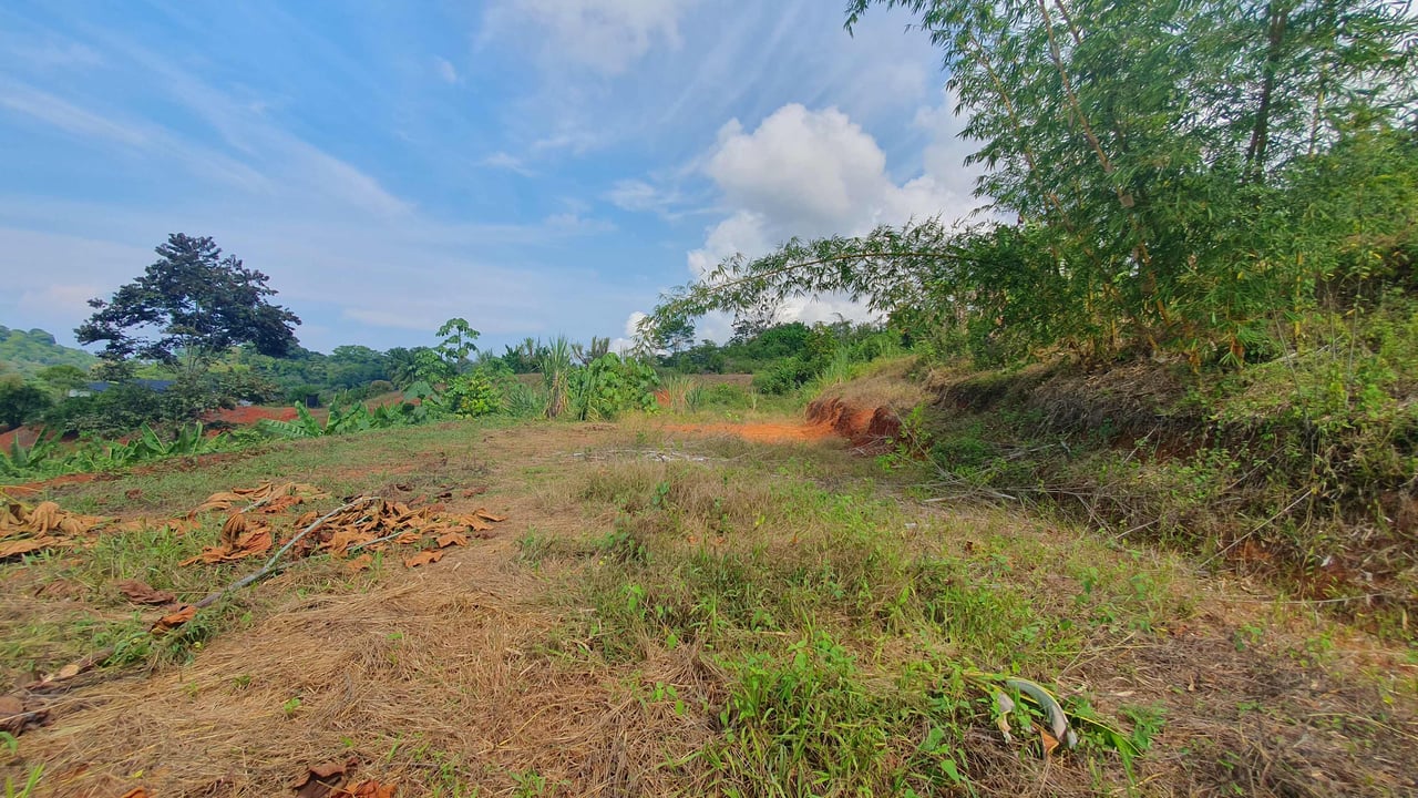 Peaceful Land for Sale