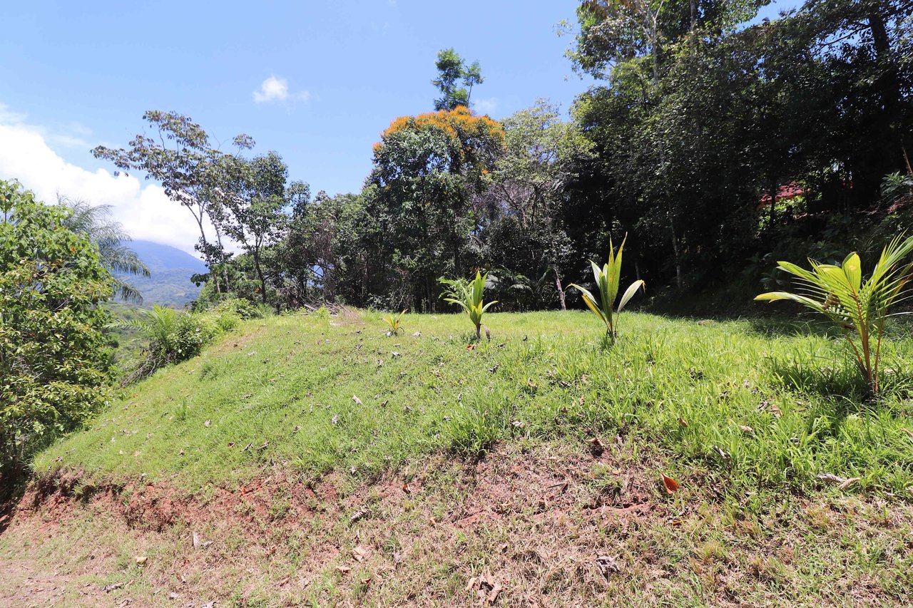 Over One Acre Attractive Lot on the Popular PEREZOSO Road.