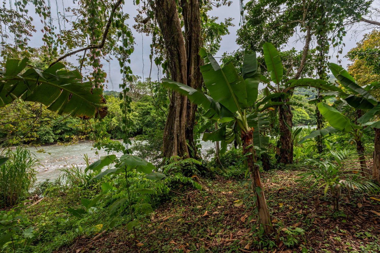 BARU RIVERFRONT HOME CLOSE TO THE BEACH IN DOMINICAL COSTA RICA