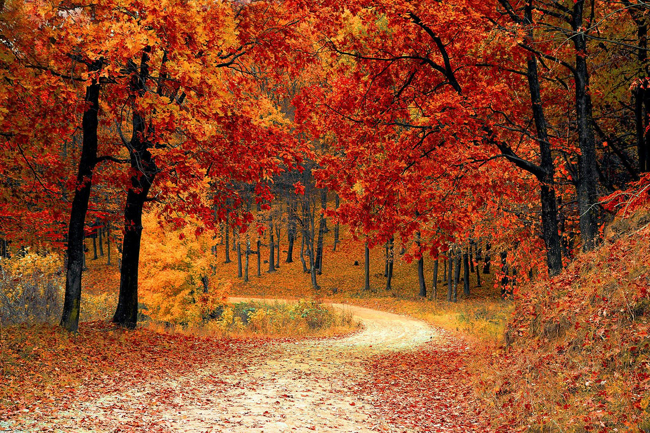 The Blue Ridge Parkway a Legacy in Itself