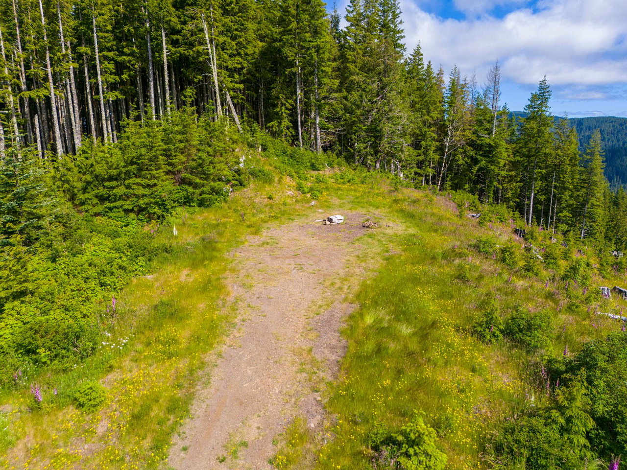 Cummins Creek Wilderness Overlook