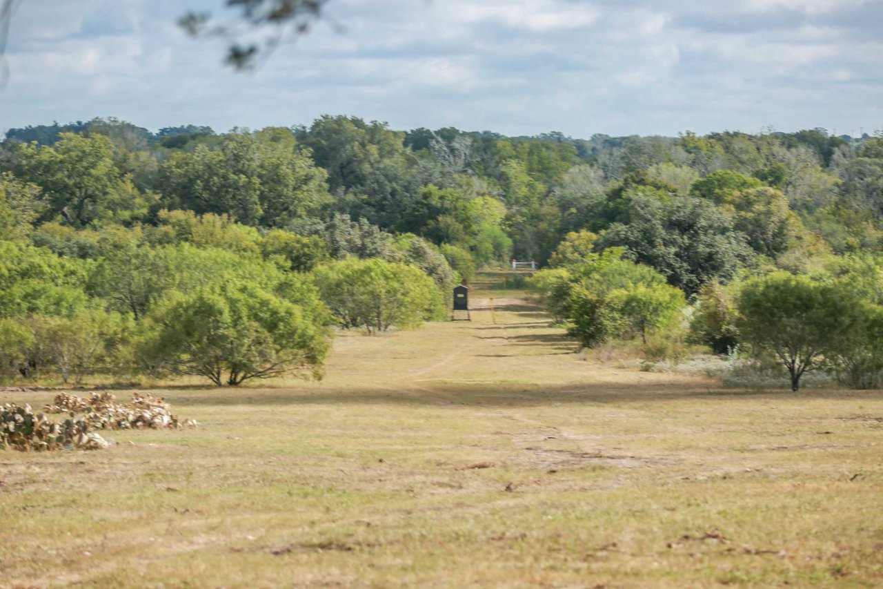 The Poco Loco | 278 Acres | DeWitt County