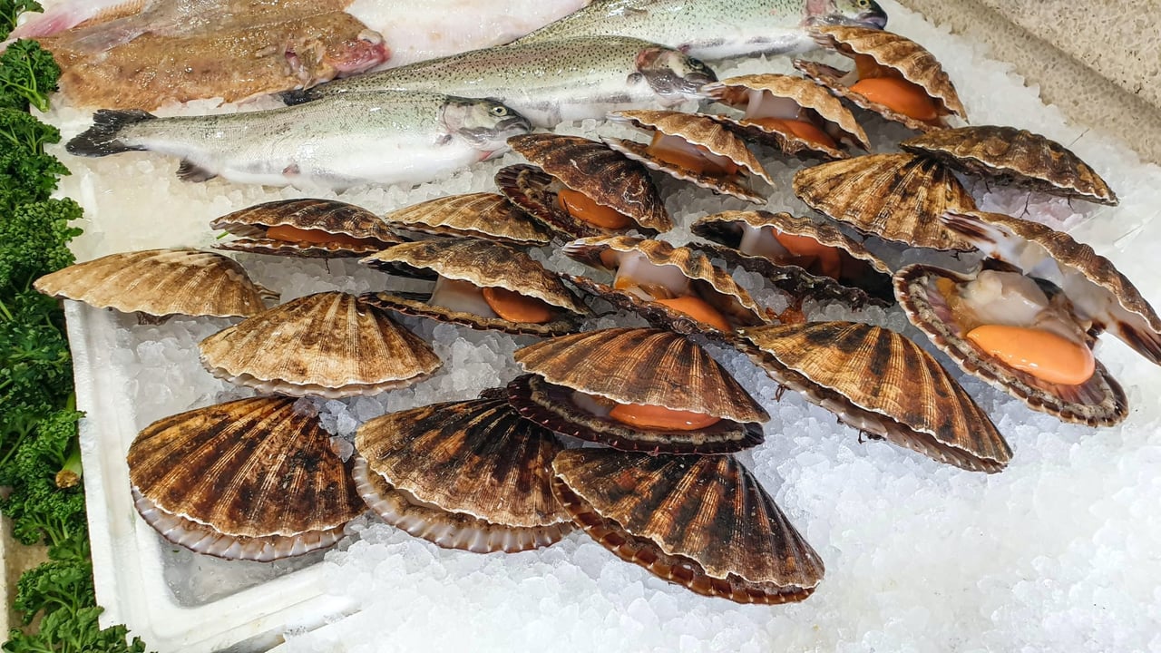 Venice - Rialto Market