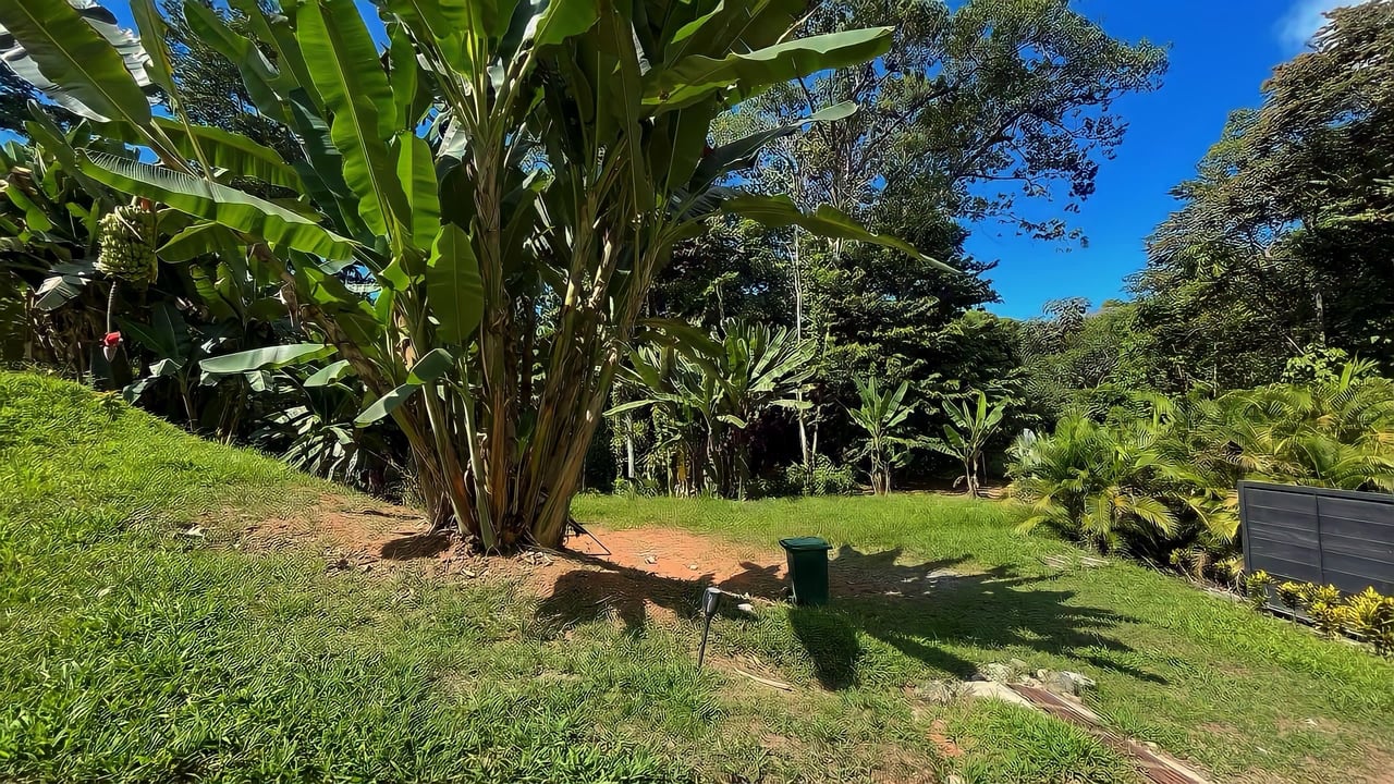 Beautiful 2-Acre Property with Container House in Cinco Ventanas