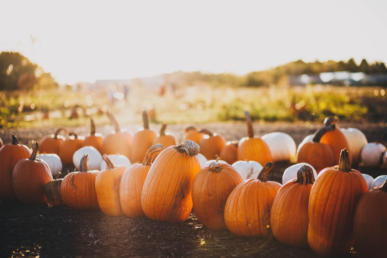 Fall Events in Orange County and Corona Del Mar