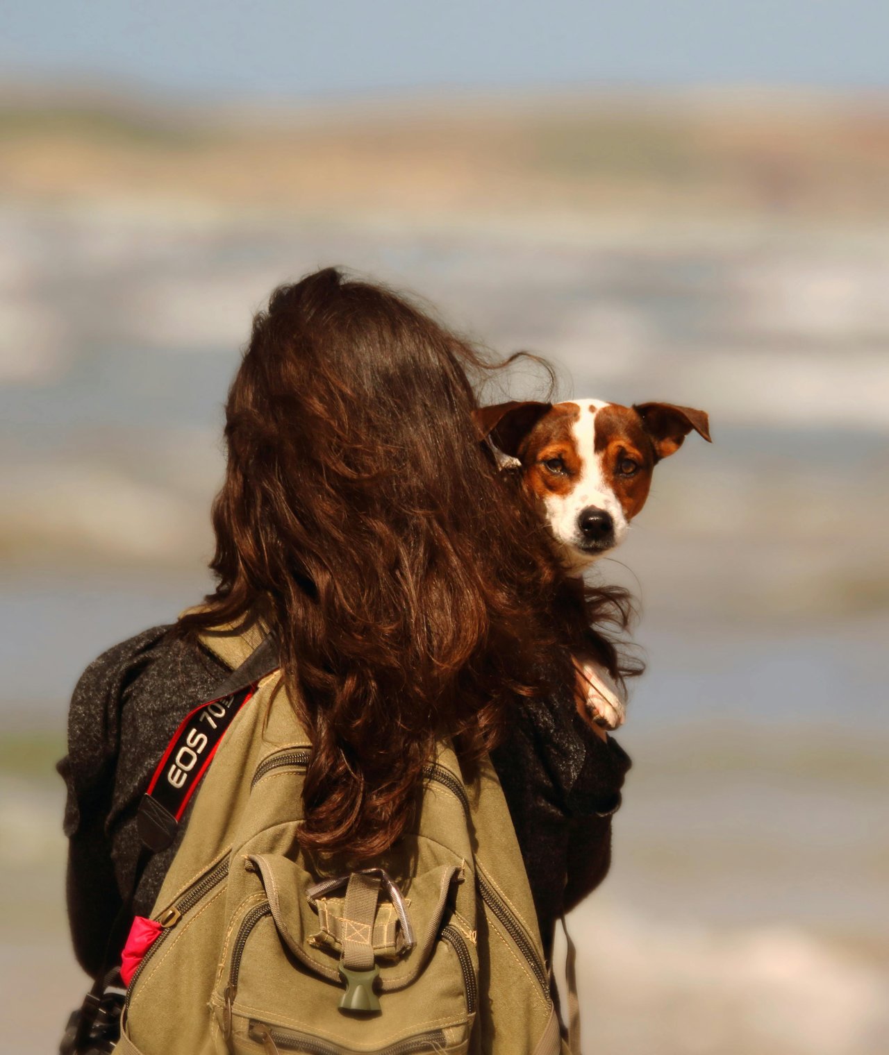 Exploring Oregon's Best Dog-Friendly Hiking Trails