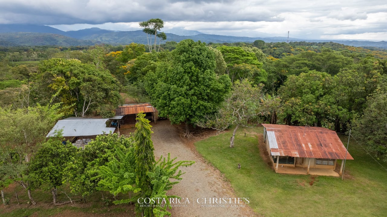 Finca Buenos Aires