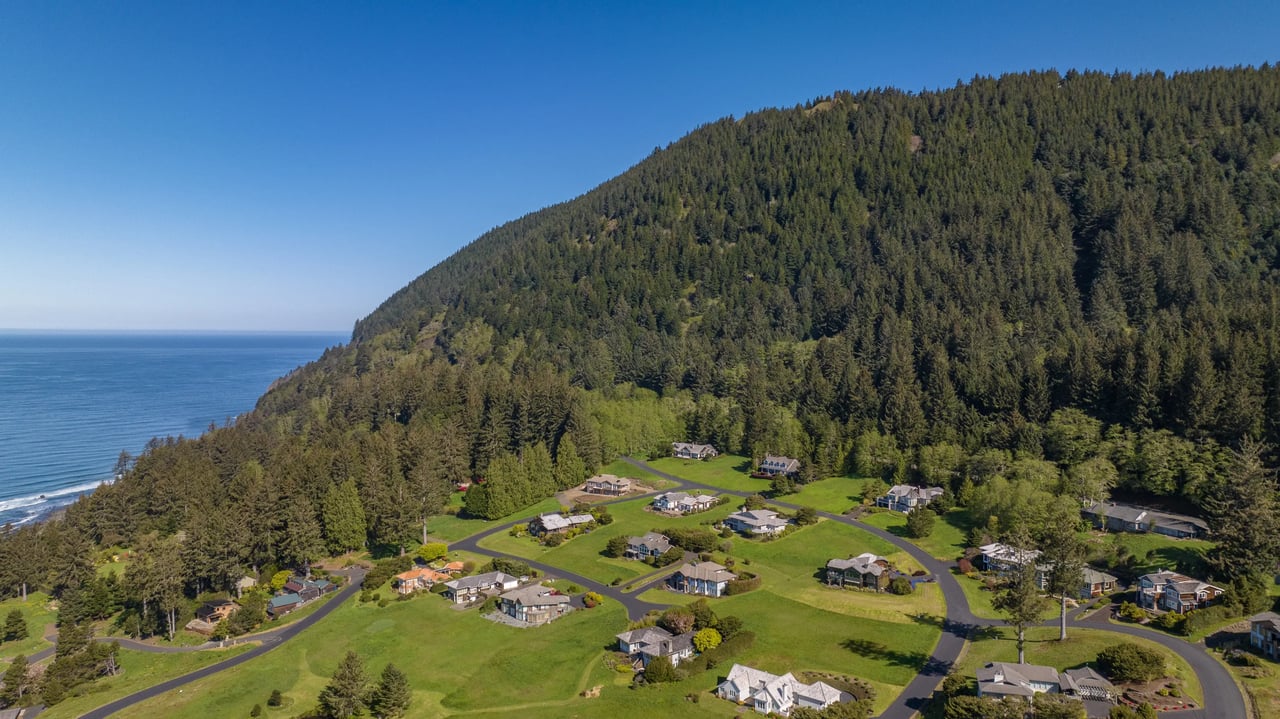 dark gree forest and blue skies over homes on Neahkahnie mountain