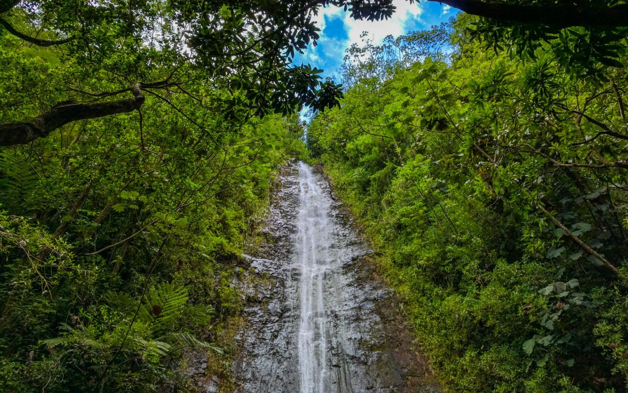 Manoa