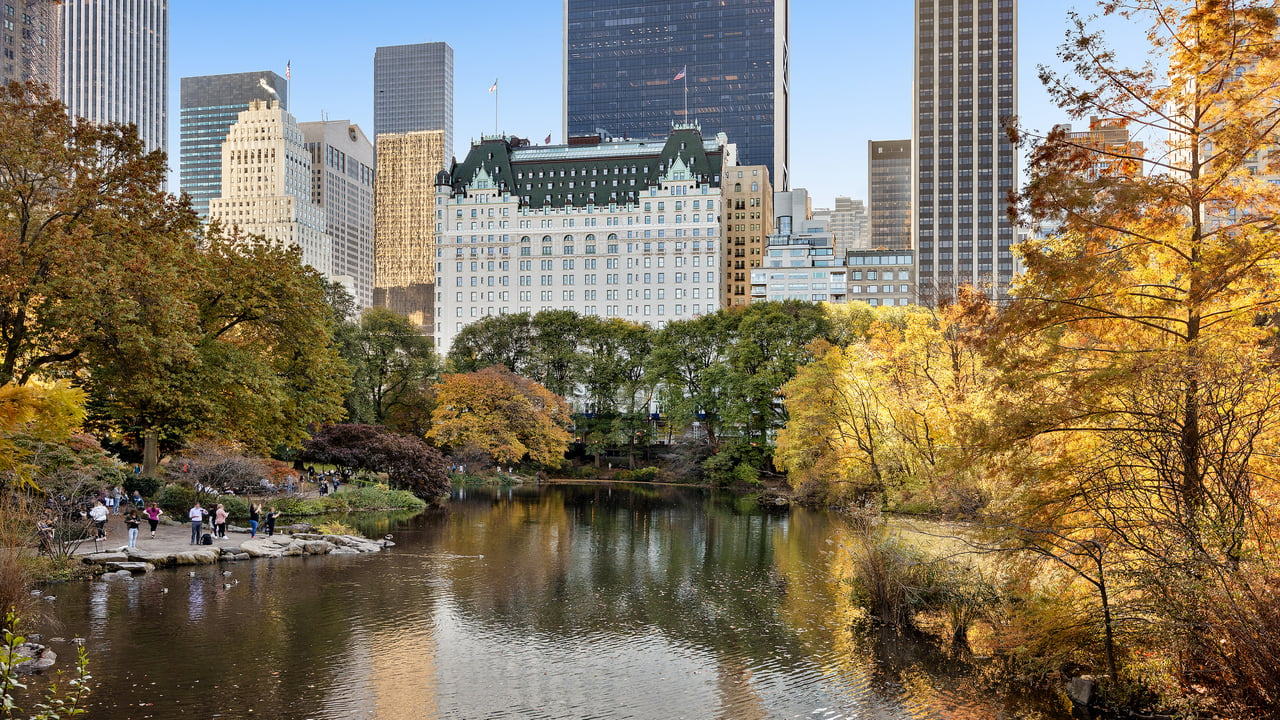 Central Park South