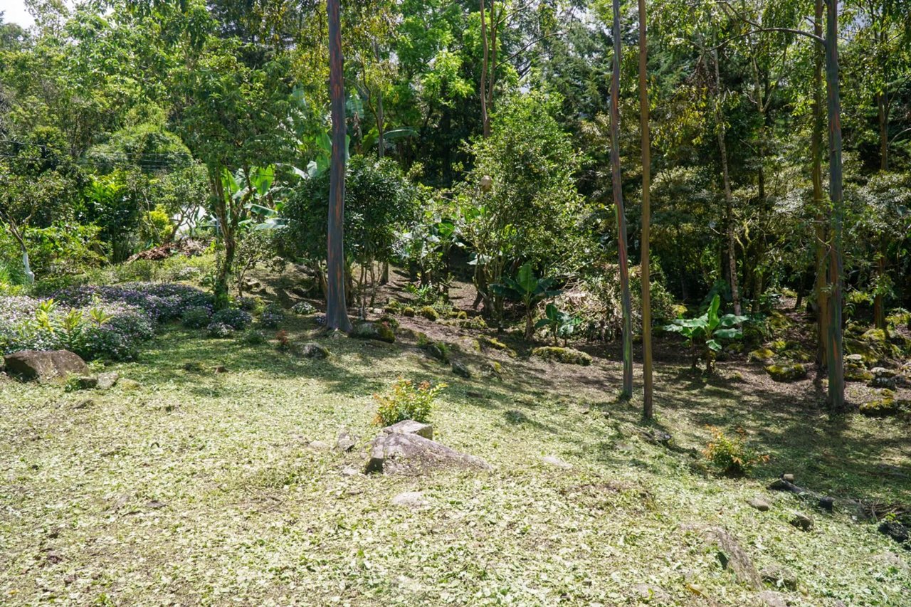 Riverfront Multi Family Compound, Perez Zeledon, San Jose