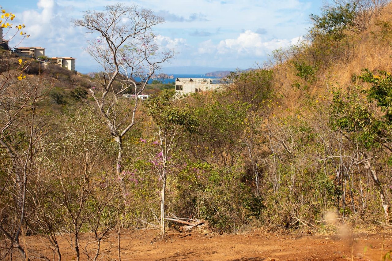 Playas del Coco Lot Vista Isla