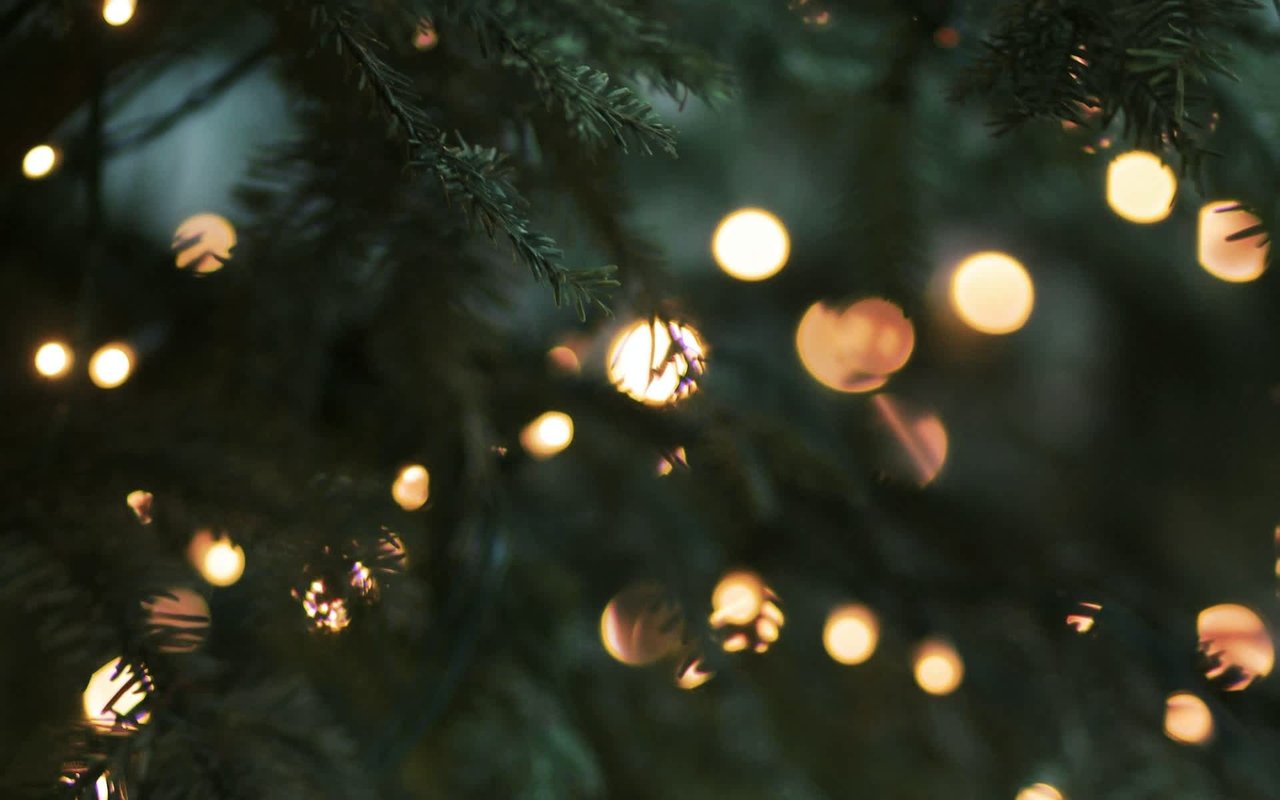 Where To Find Your Christmas Tree In Austin
