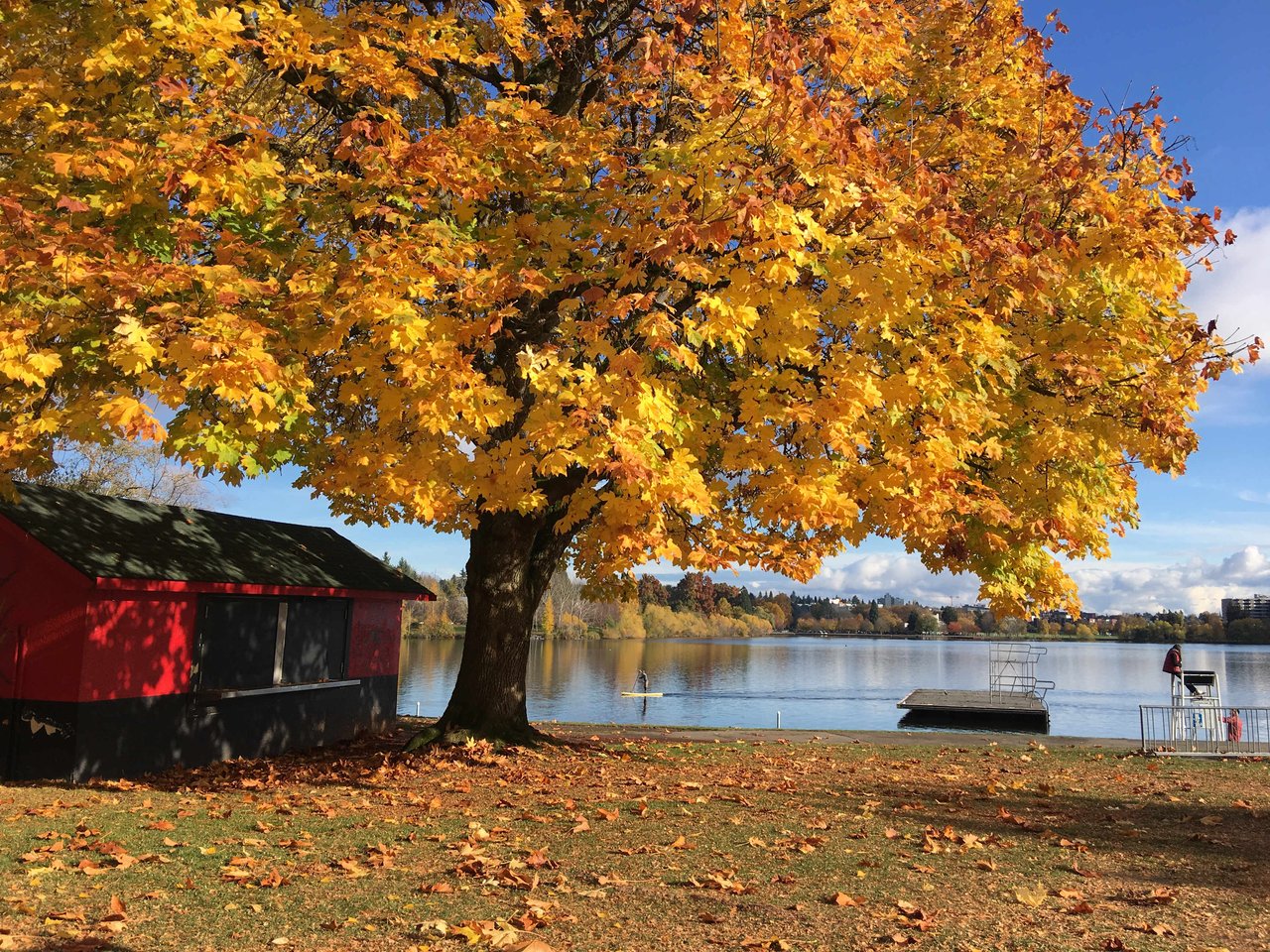 Greenlake