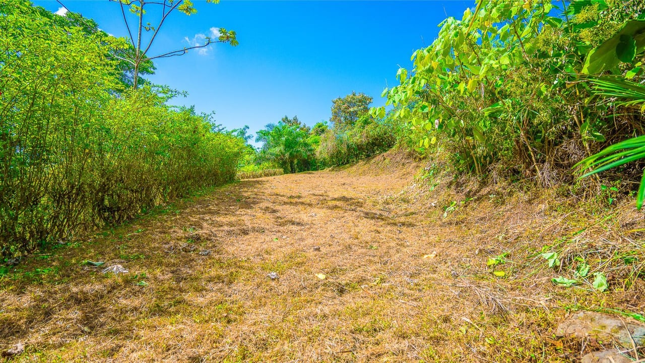 Forest View Build Ready Lot, Ojochal, Puntarenas
