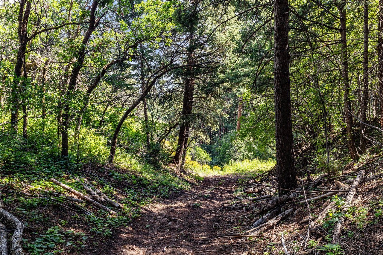 Rampart Canyon Ranch 