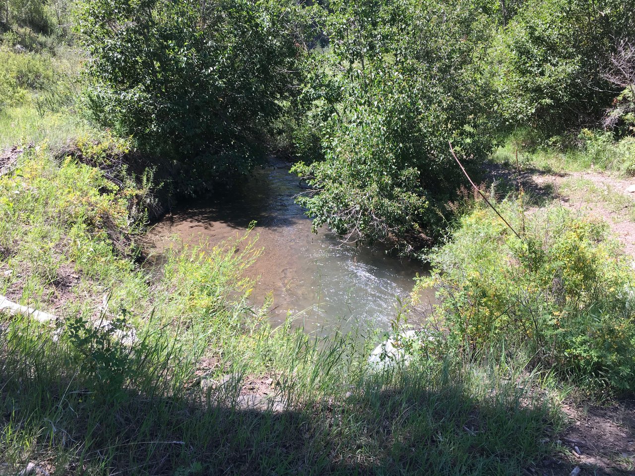 Southern Colorado Riverfront Mountain Ranch