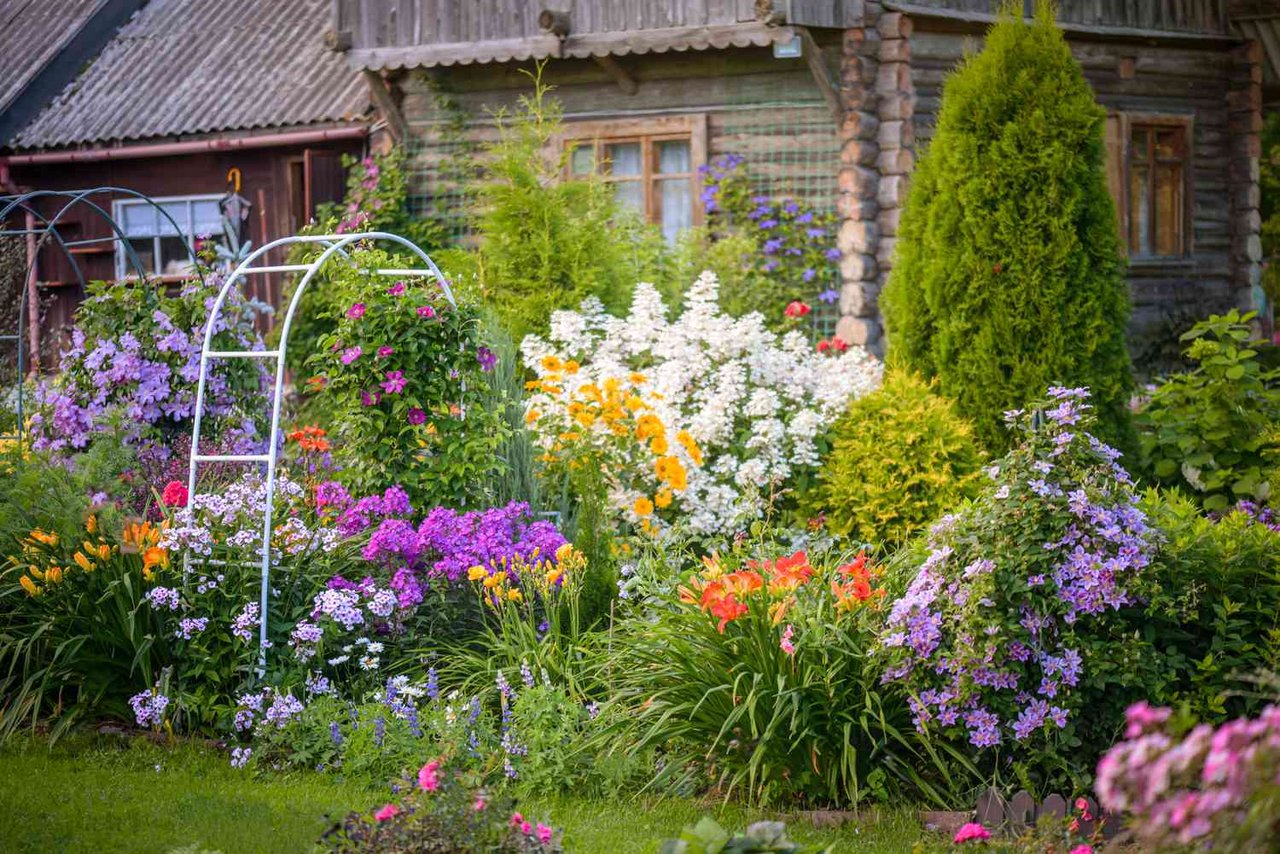  Montana Gardening Tips: Summer Care for Your Yard and Garden